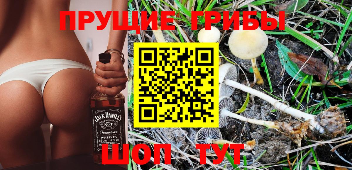 Галлюциногенные грибы Psilocybine cubensis Копейск